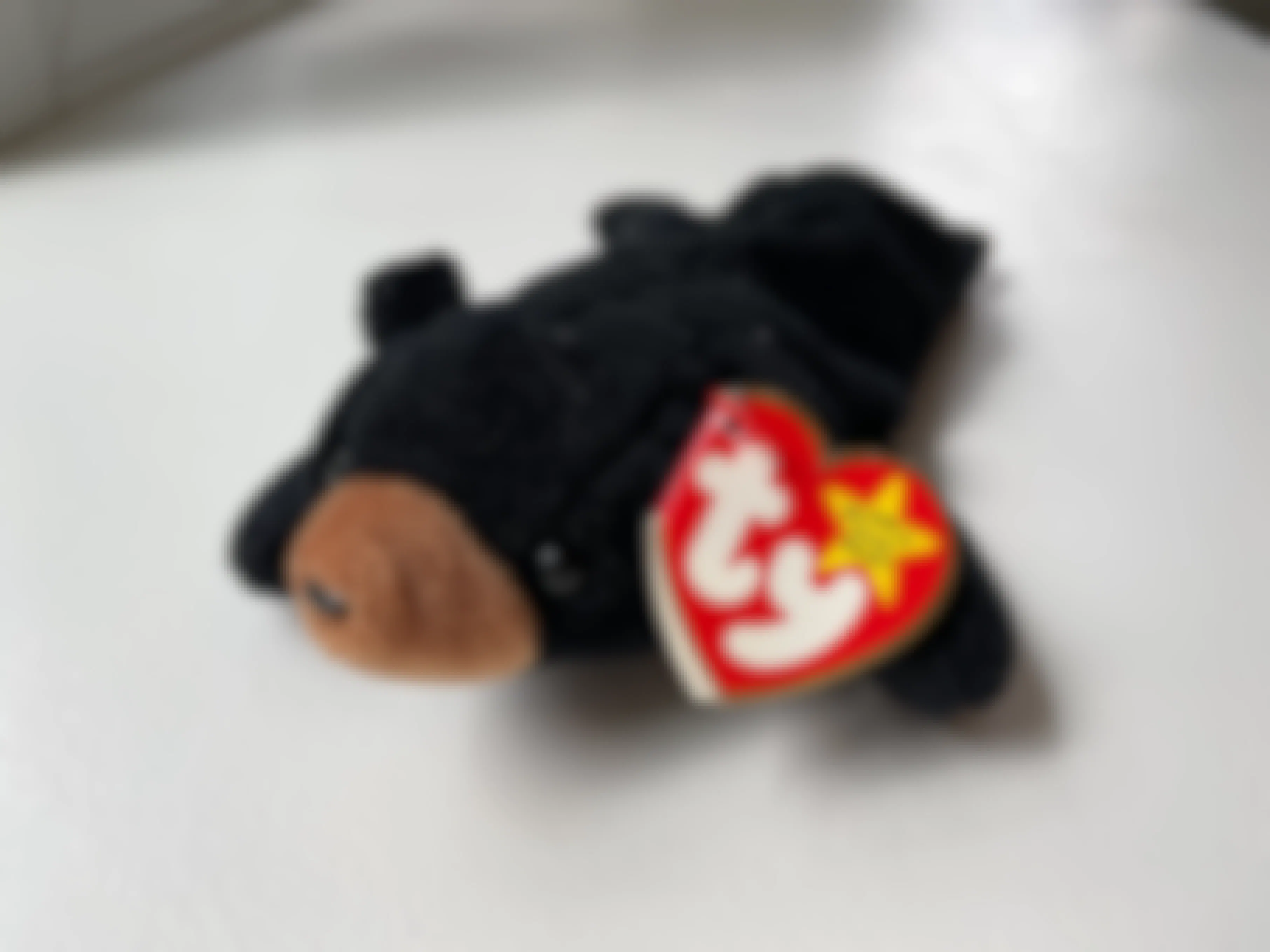 A Blackie the Black Bear beanie baby sitting on a white table.