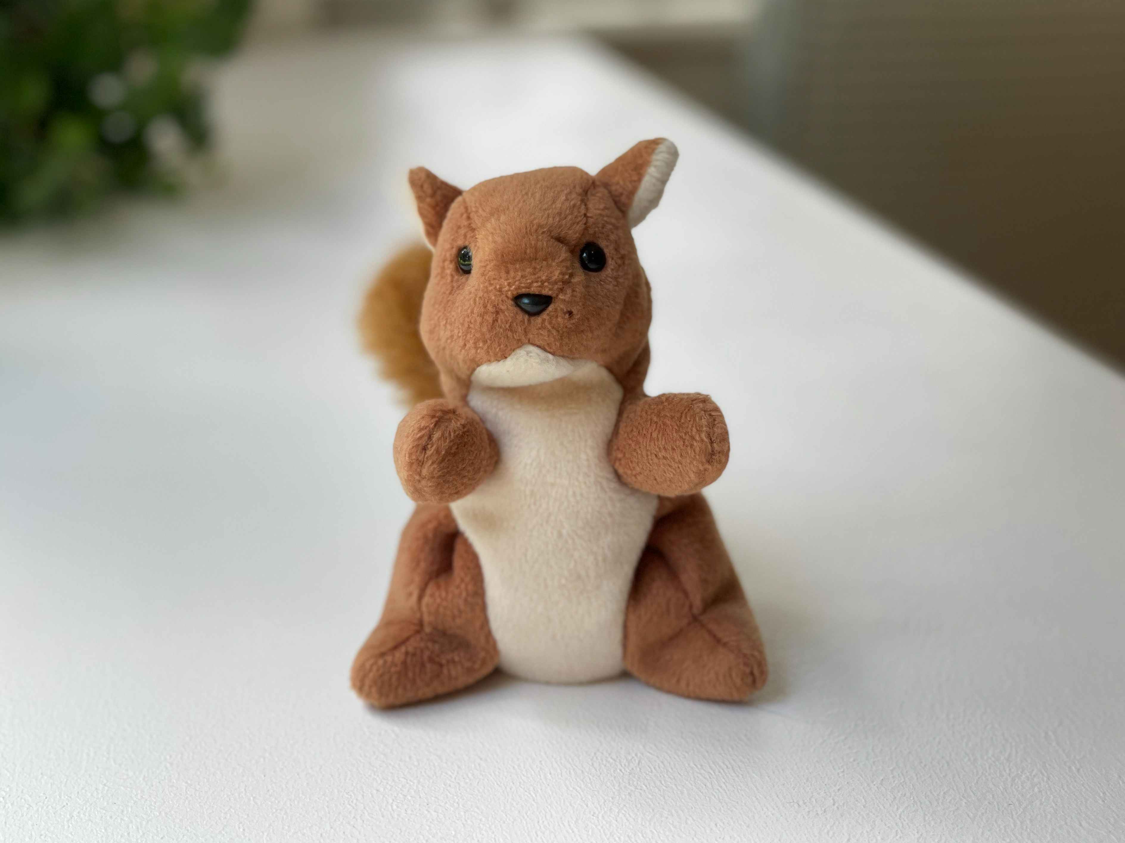 A Nuts the Squirrel beanie baby sitting on a white table.