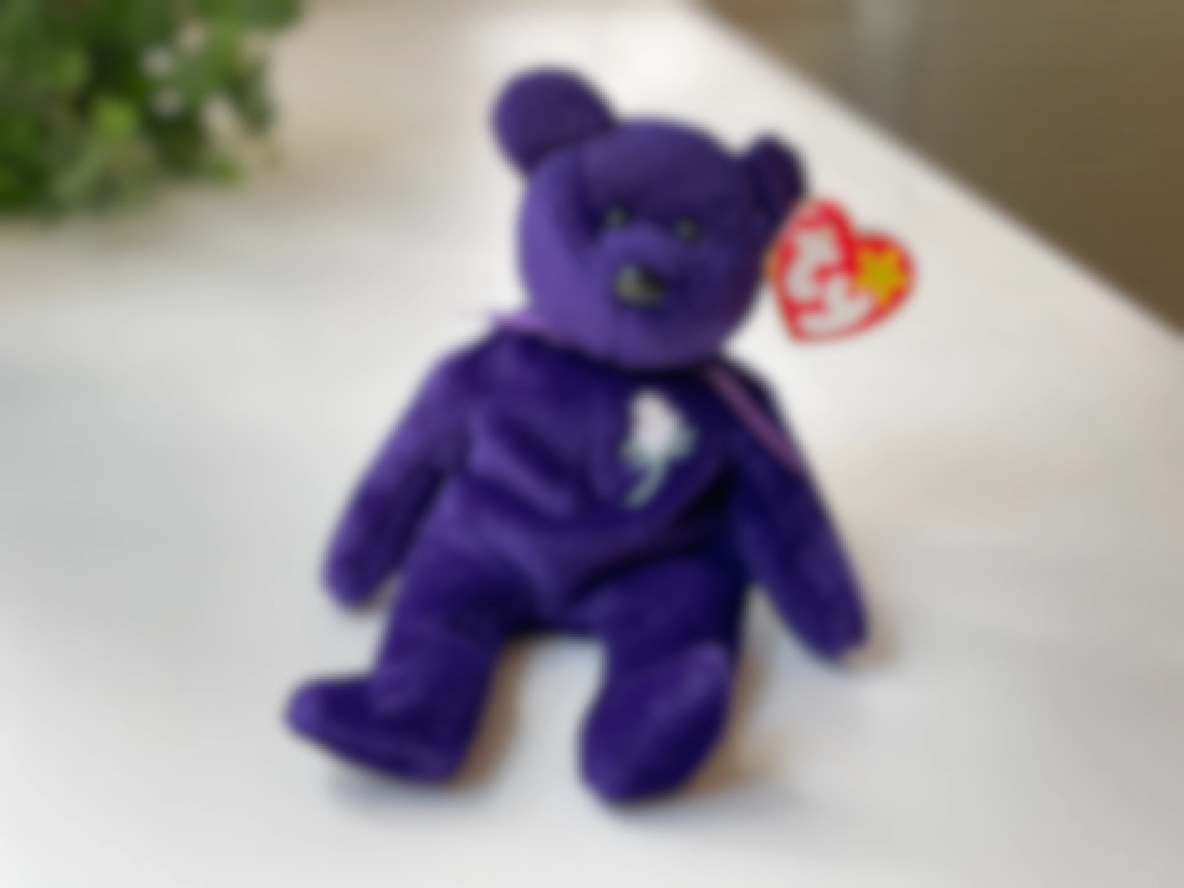 A Princess Diana Bear beanie baby sitting on a white table with a plant in the background.