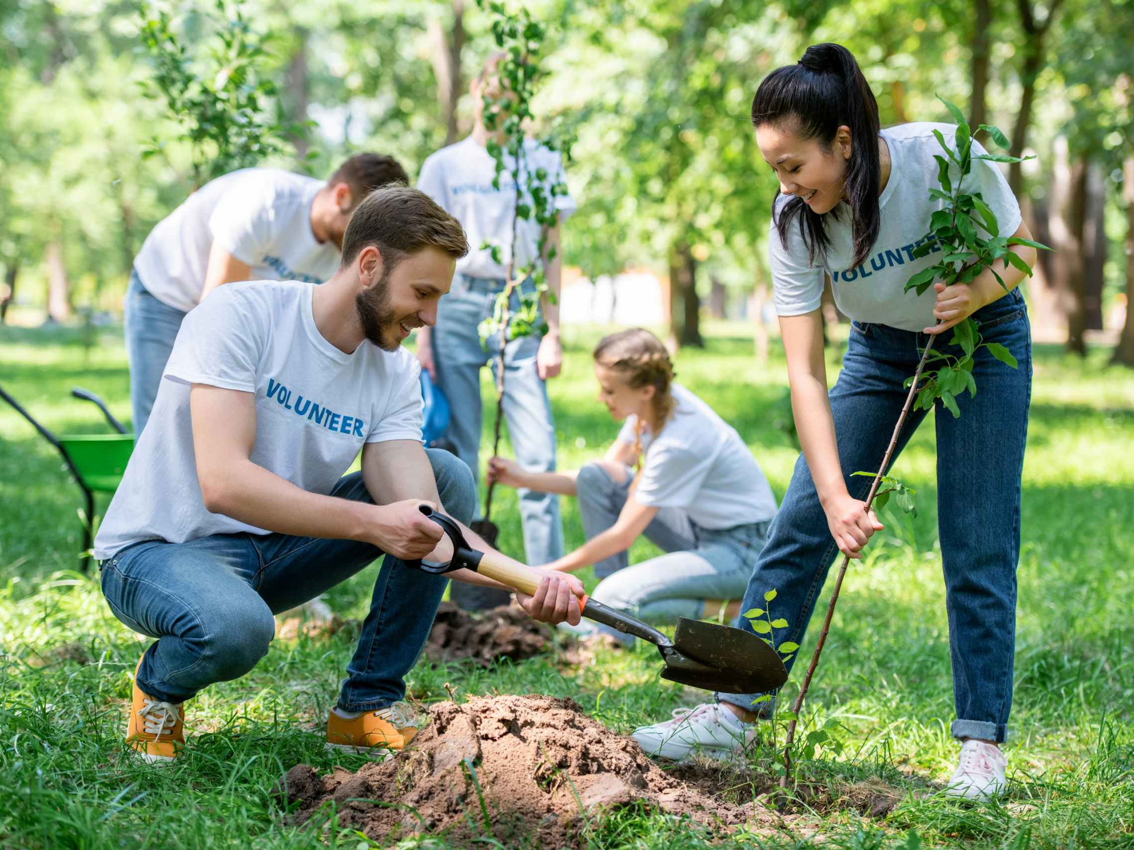 A group of people wearing volunteers shirts working together in a garden, planting a tree sapling.