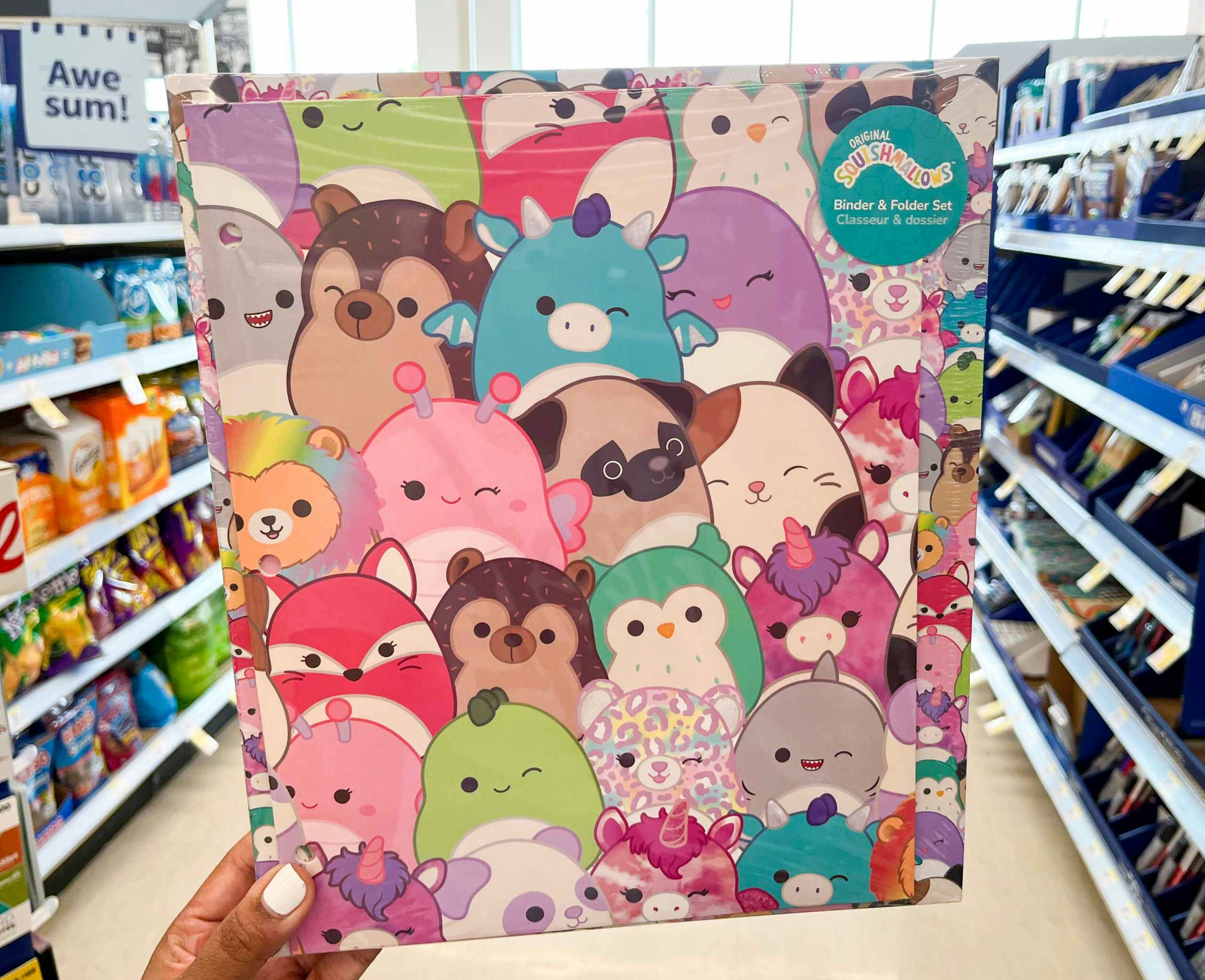 hand holding Squishmallow binder and folder set in aisle