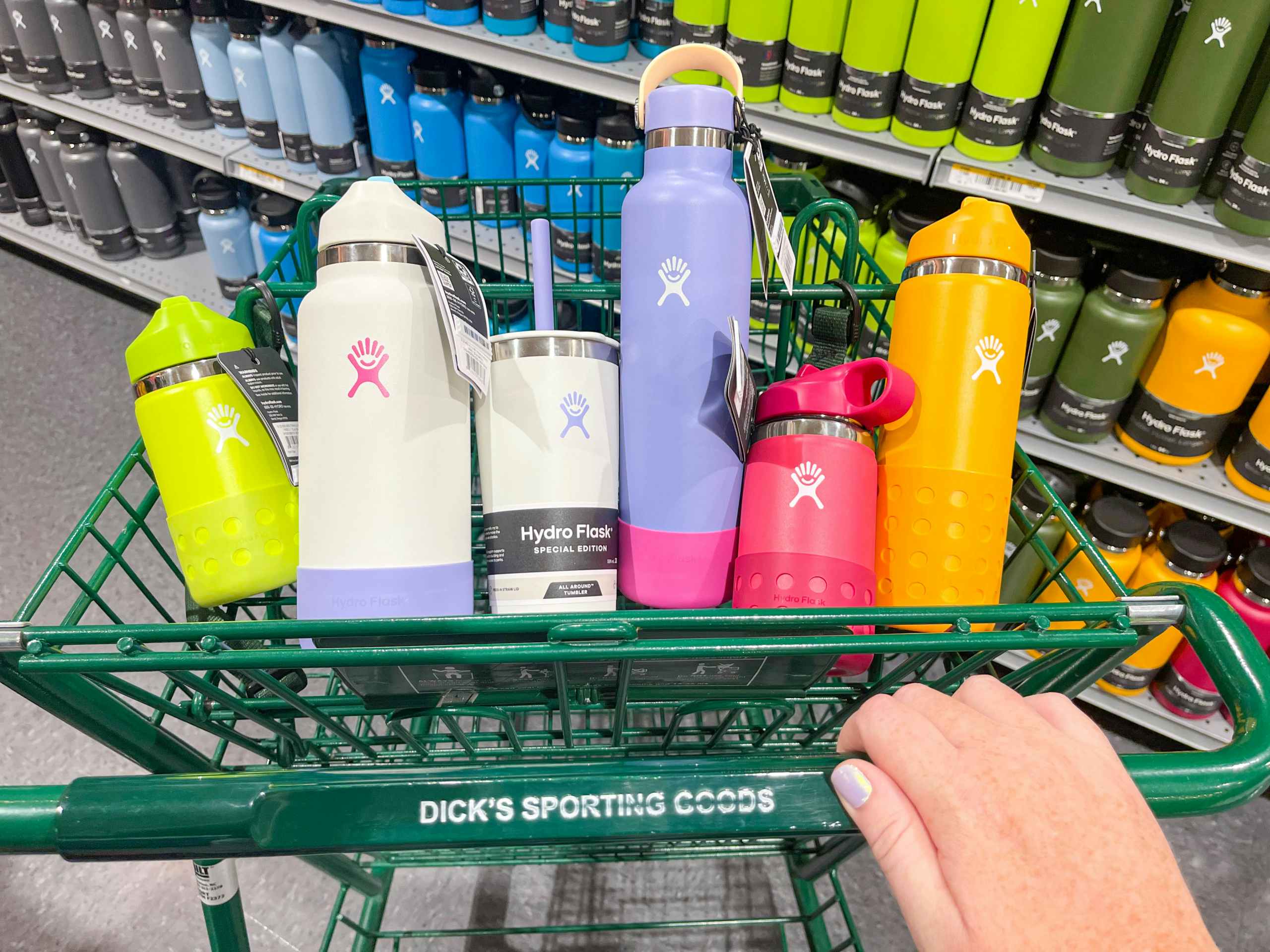 hydro flask water bottle in a dicks sporting goods cart