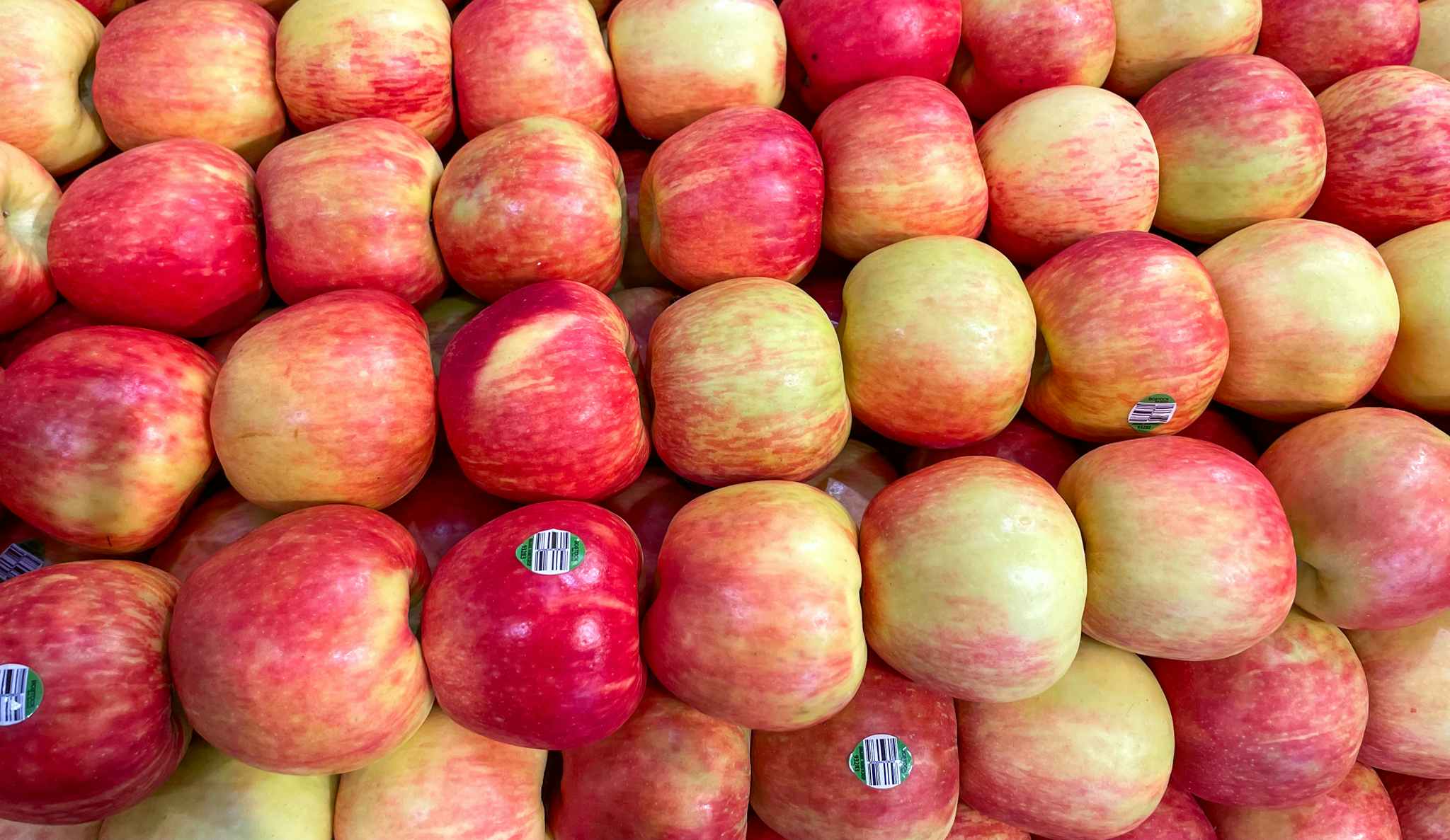 several organized apples at whole foods