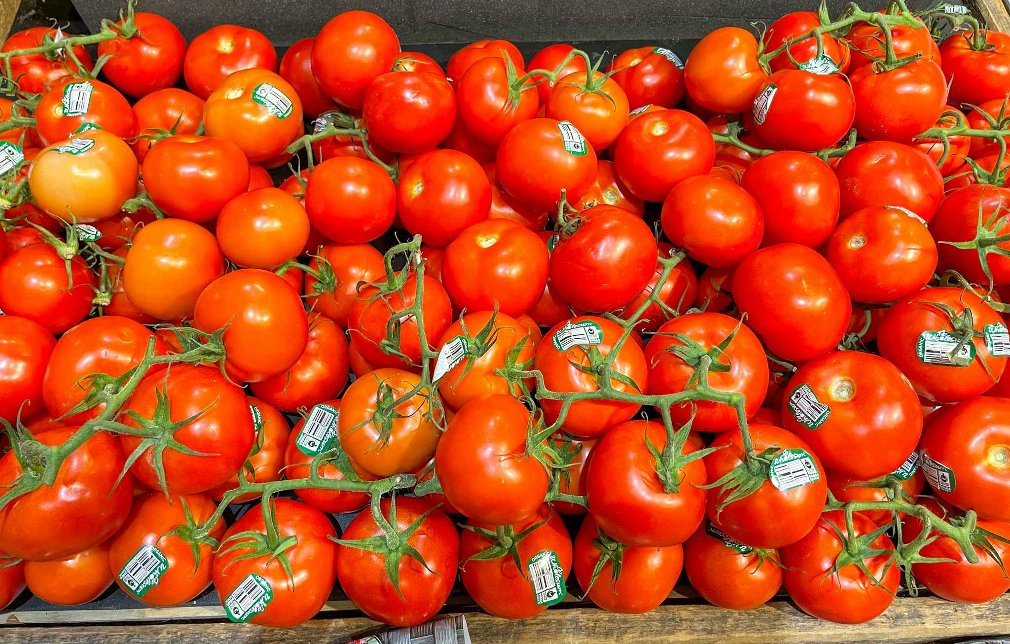 tomatoes on vine on a shelf at whole foods