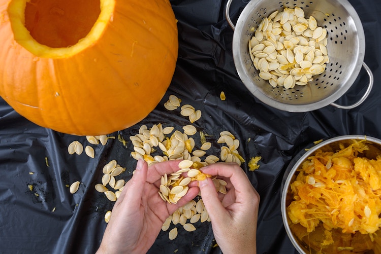 woman separating seeds from carved pumpkin flesh