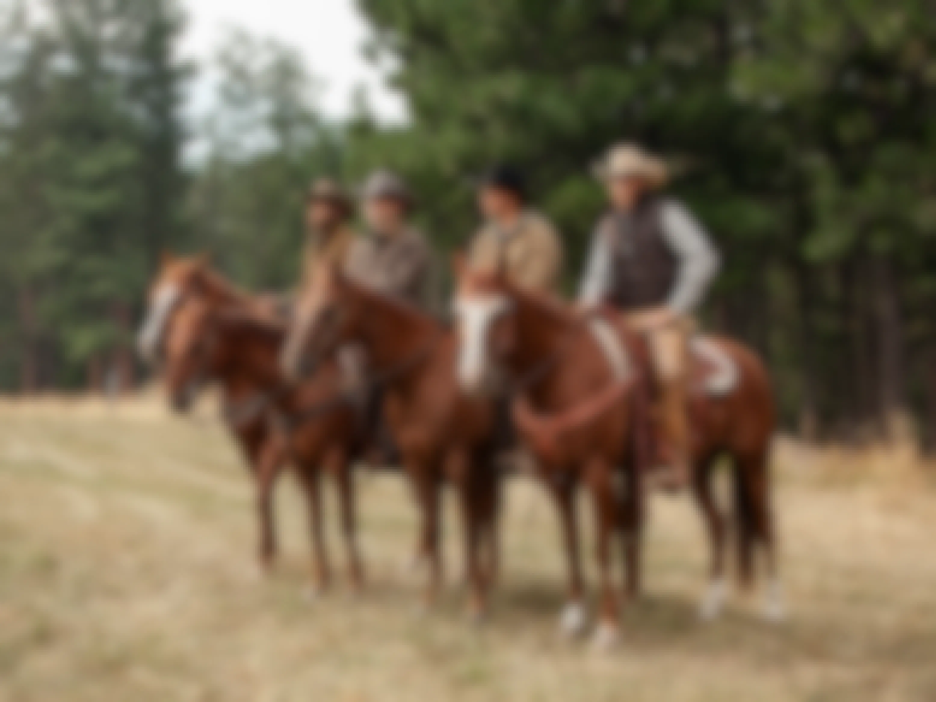 Cast members of Yellowstone on horses in a pasture.
