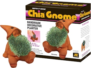 amazon-chia-pet