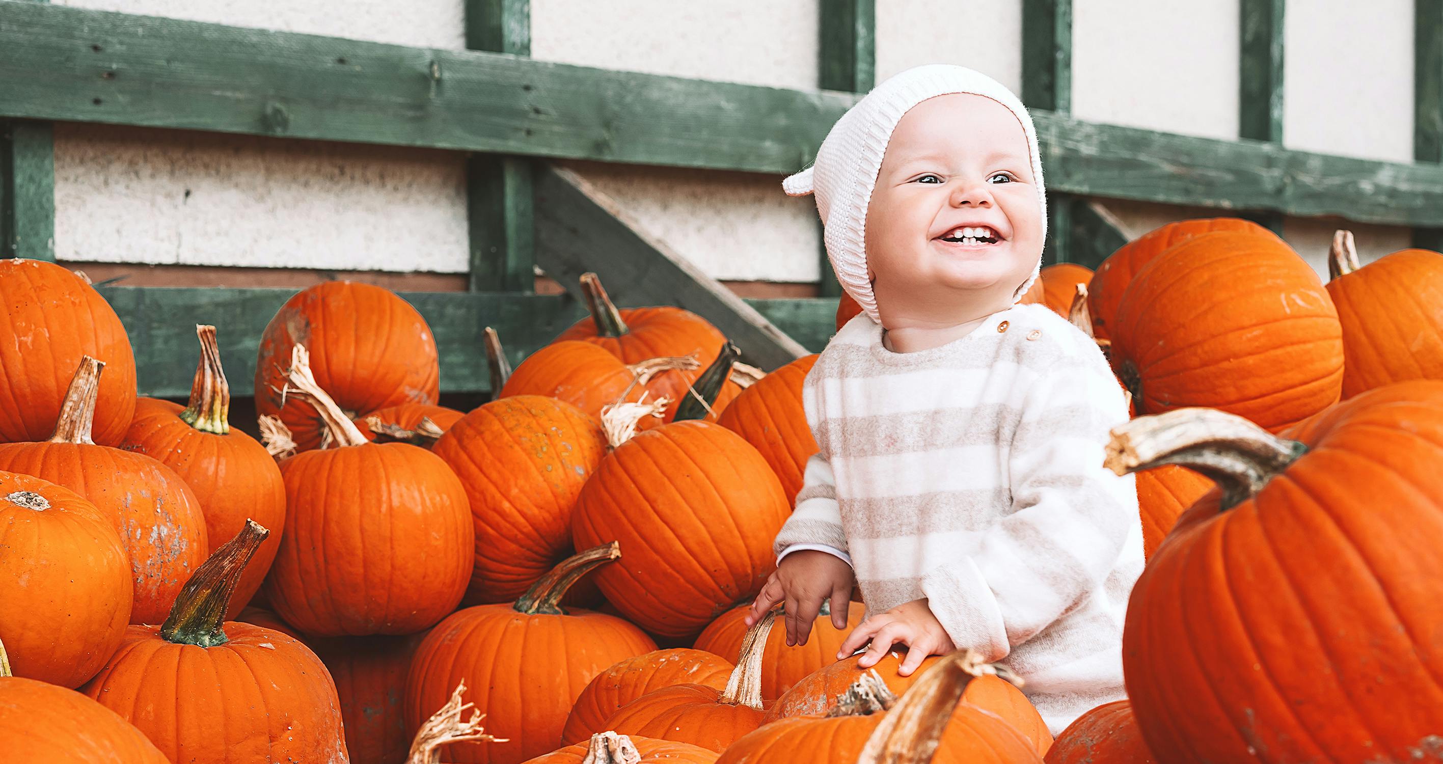 Cheap Pumpkin Patch Near Me: 2022 Deals| - The Krazy Coupon Lady