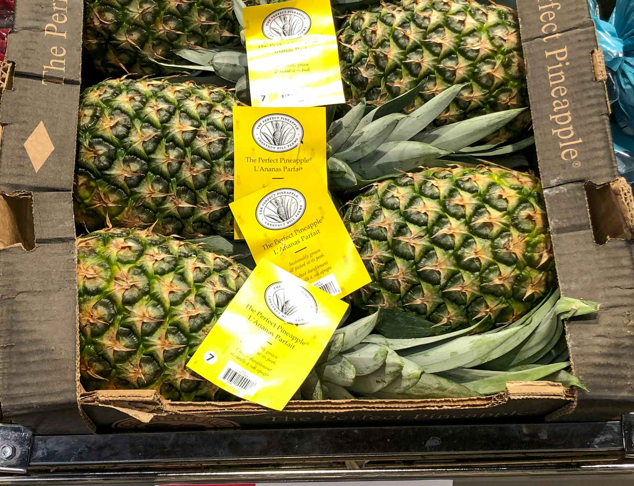 pineapples at aldi