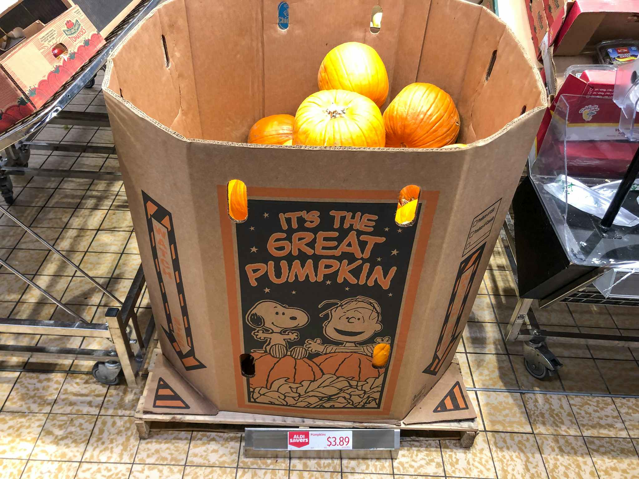 pumpkins at aldi