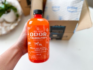 amazon angry orange spray img 9508 1663347260 1663347260