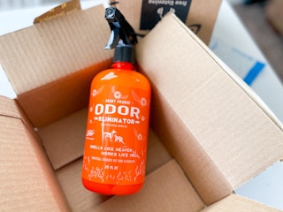amazon angry orange spray img 9514 1663347276 1663347276