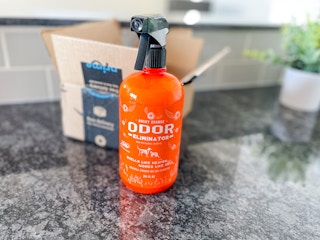 amazon angry orange spray img 9517 1663347284 1663347284