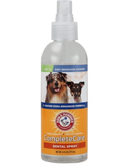 Arm & Hammer dental spray bottle