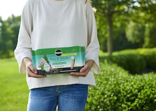 amazon miracle gro tree spike 2022 2 1662566665 1662566665