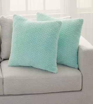 Belk 2 pack pillows