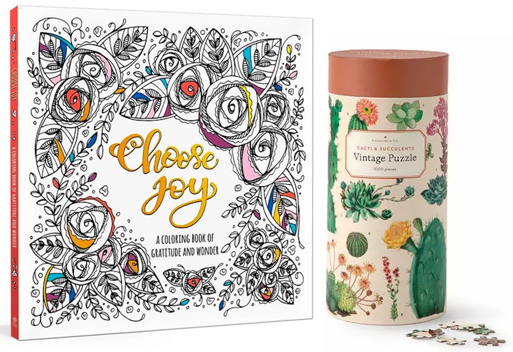 A coloring book and succulent puzzle in a tube on a white background.