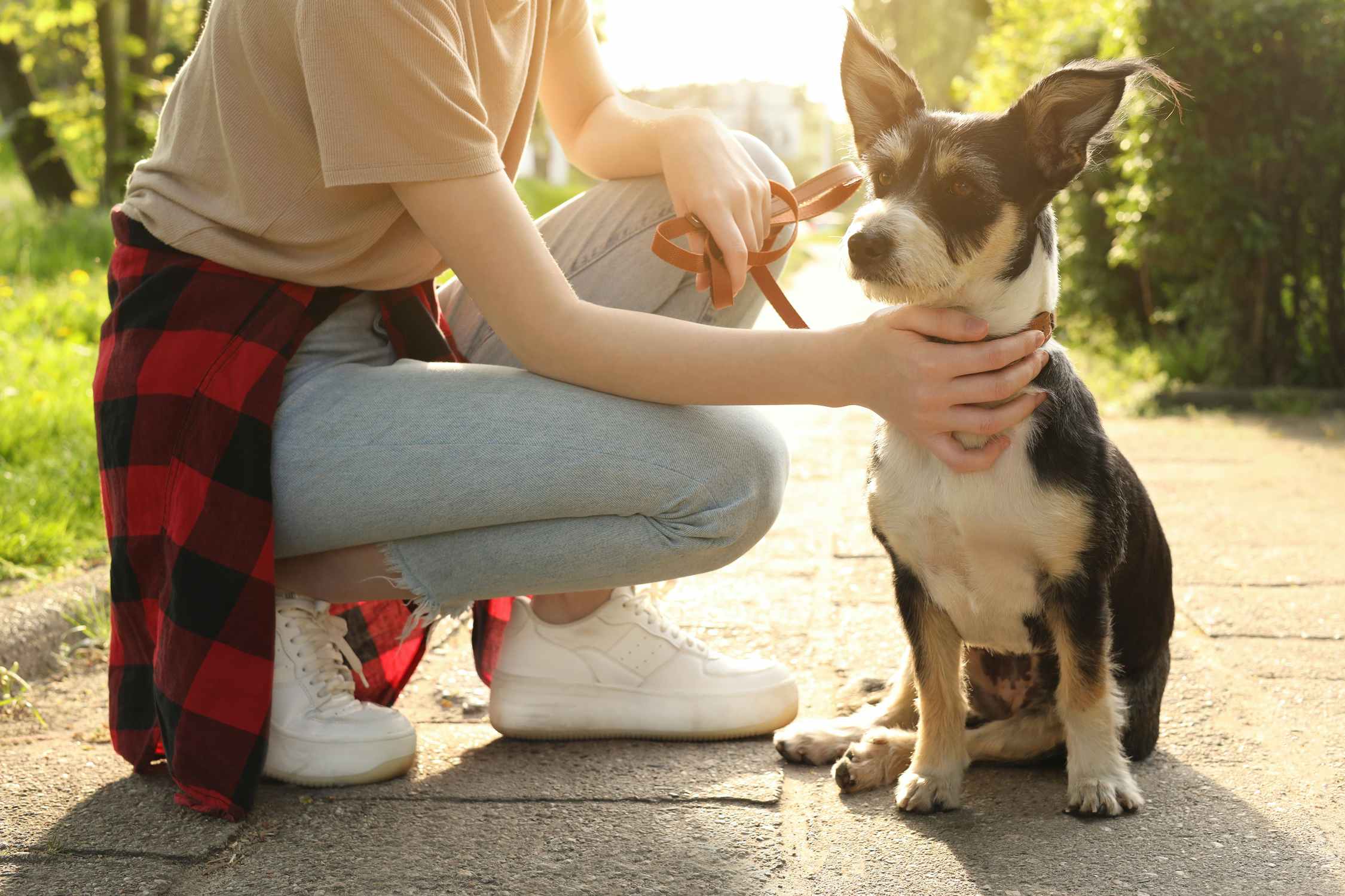 teenage girl kneeling with dog during walk