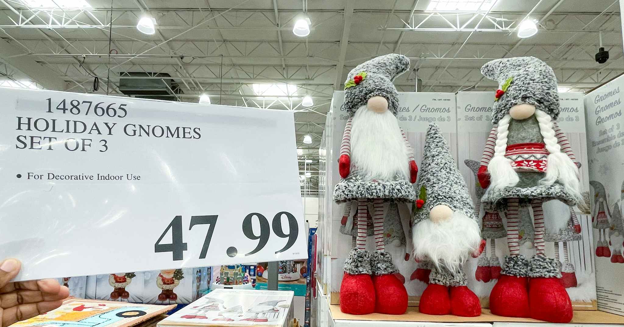 gnome set on display with hand held sale sign at costco