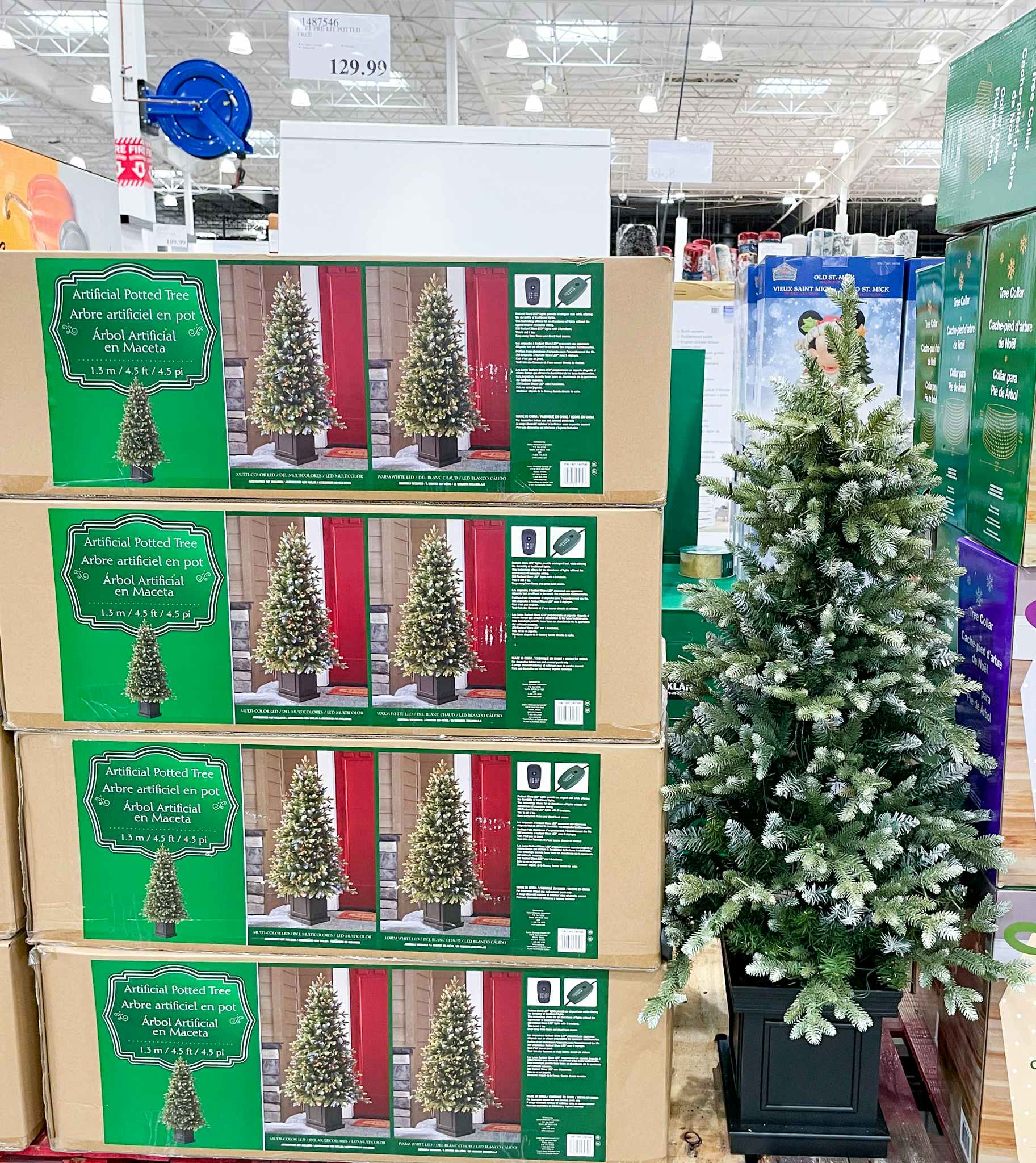 potted christmas tree on display with sale sign at costco