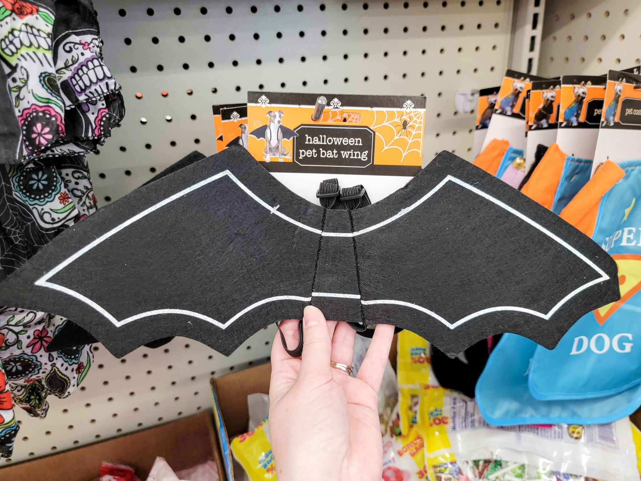 hand holding a pair of bat wings pet halloween costume