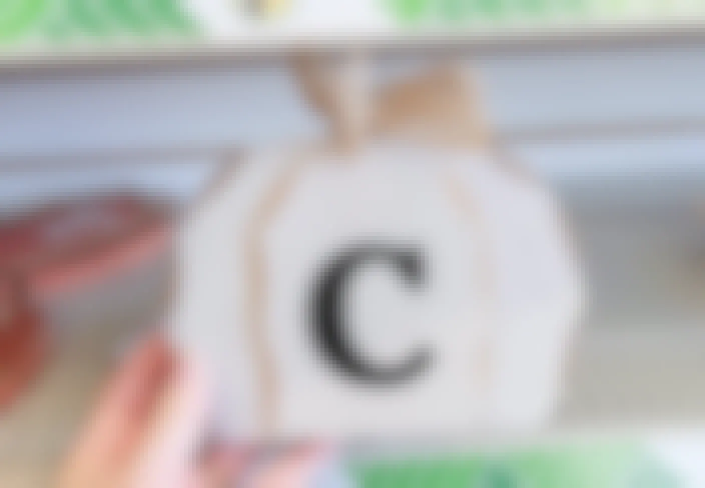 hand holding a white pumpkin with a letter C on it