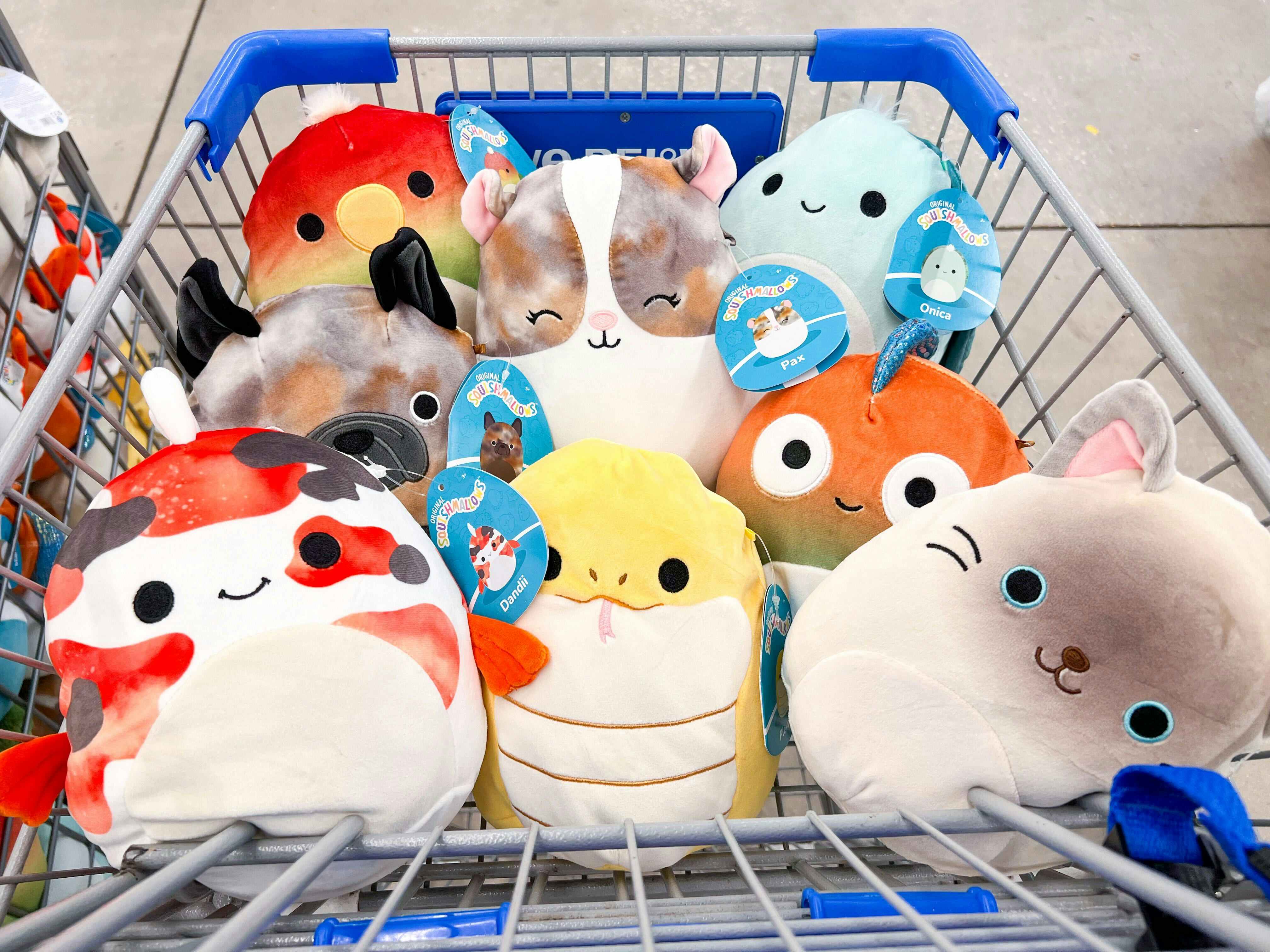 https://prod-cdn-thekrazycouponlady.imgix.net/wp-content/uploads/2022/09/five-below-squishmallow-pet-squad-012923-8-1675015528-1675015528.jpg?auto=format&fit=fill&q=25