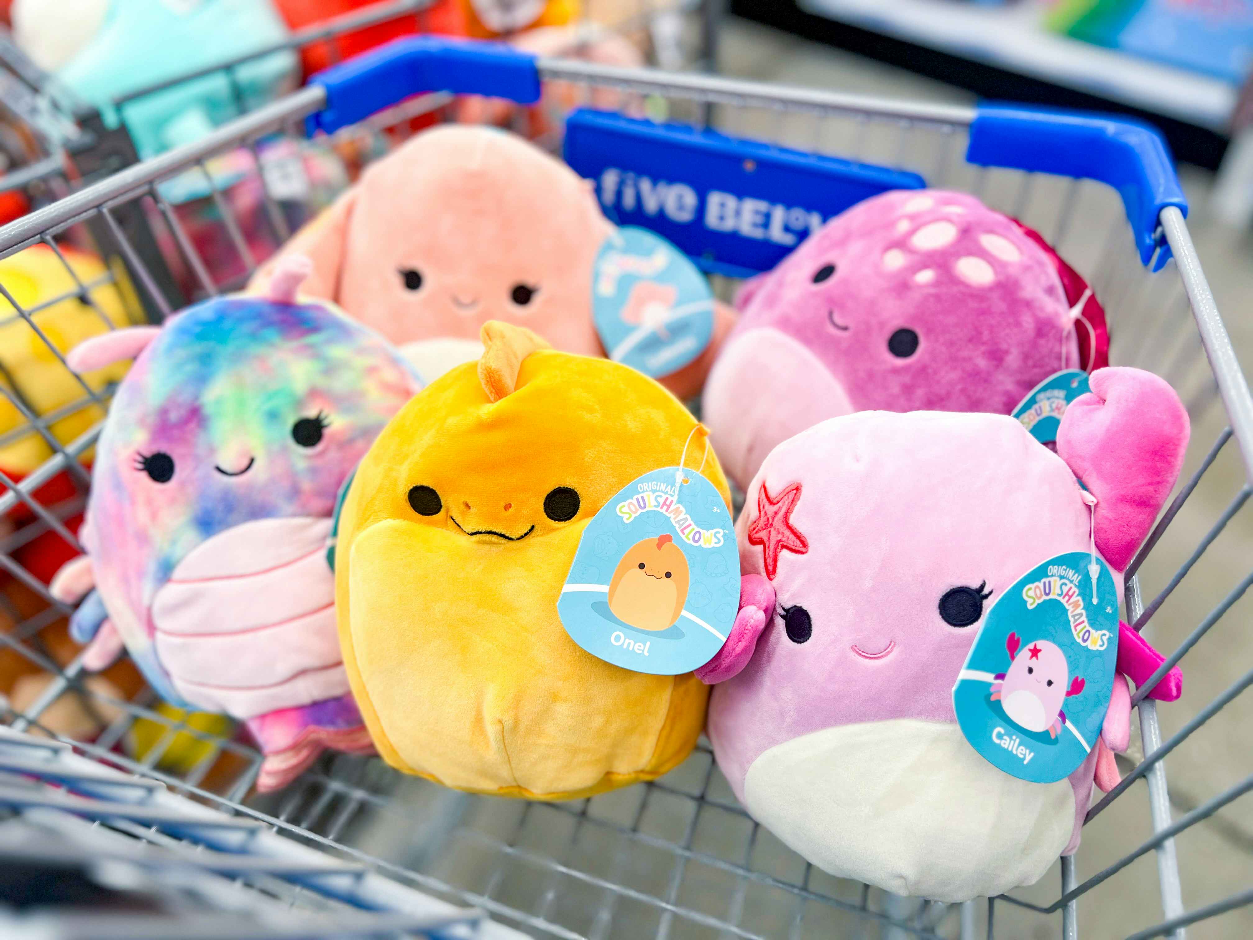 Squishmallows - Raise Your Hand If You Want New Squishmallows! Check out  the latest additions to our #squishmallowsquad in the Squishmallow Shop!