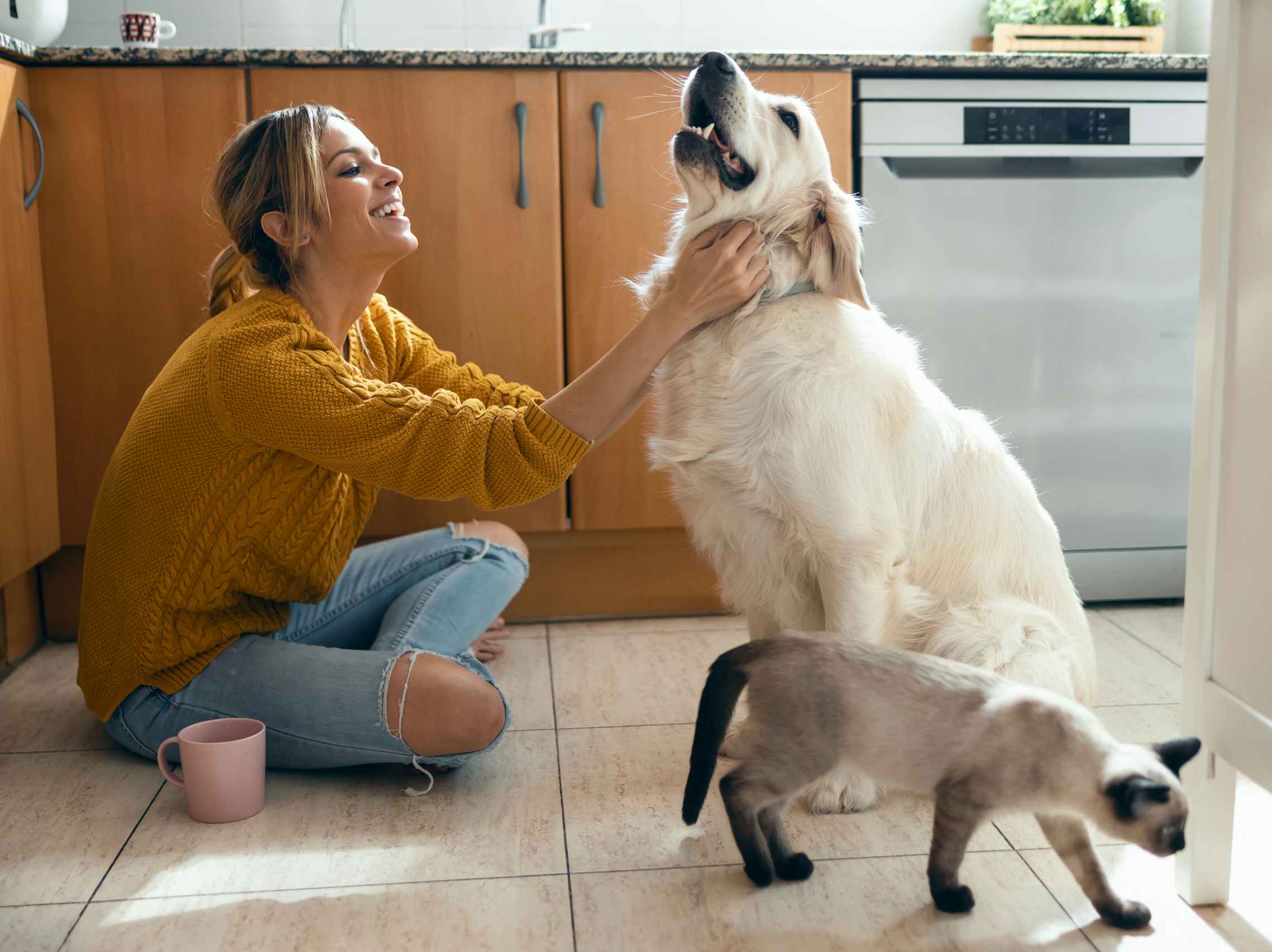A woman sitting on a kitchen floor, petting a big dog while a cat walks by.