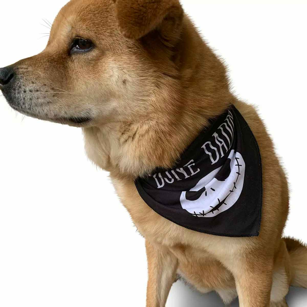 kohls disney bone daddy dog bandana 