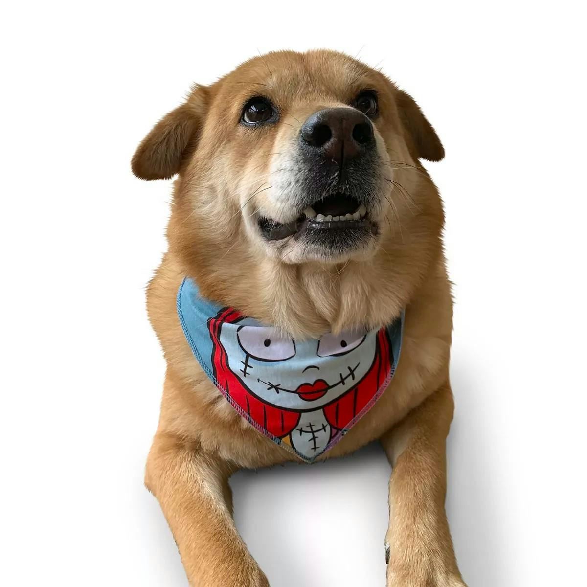 Popular Disney Dog Apparel at Kohl's Up to 65 Off The Krazy Coupon Lady