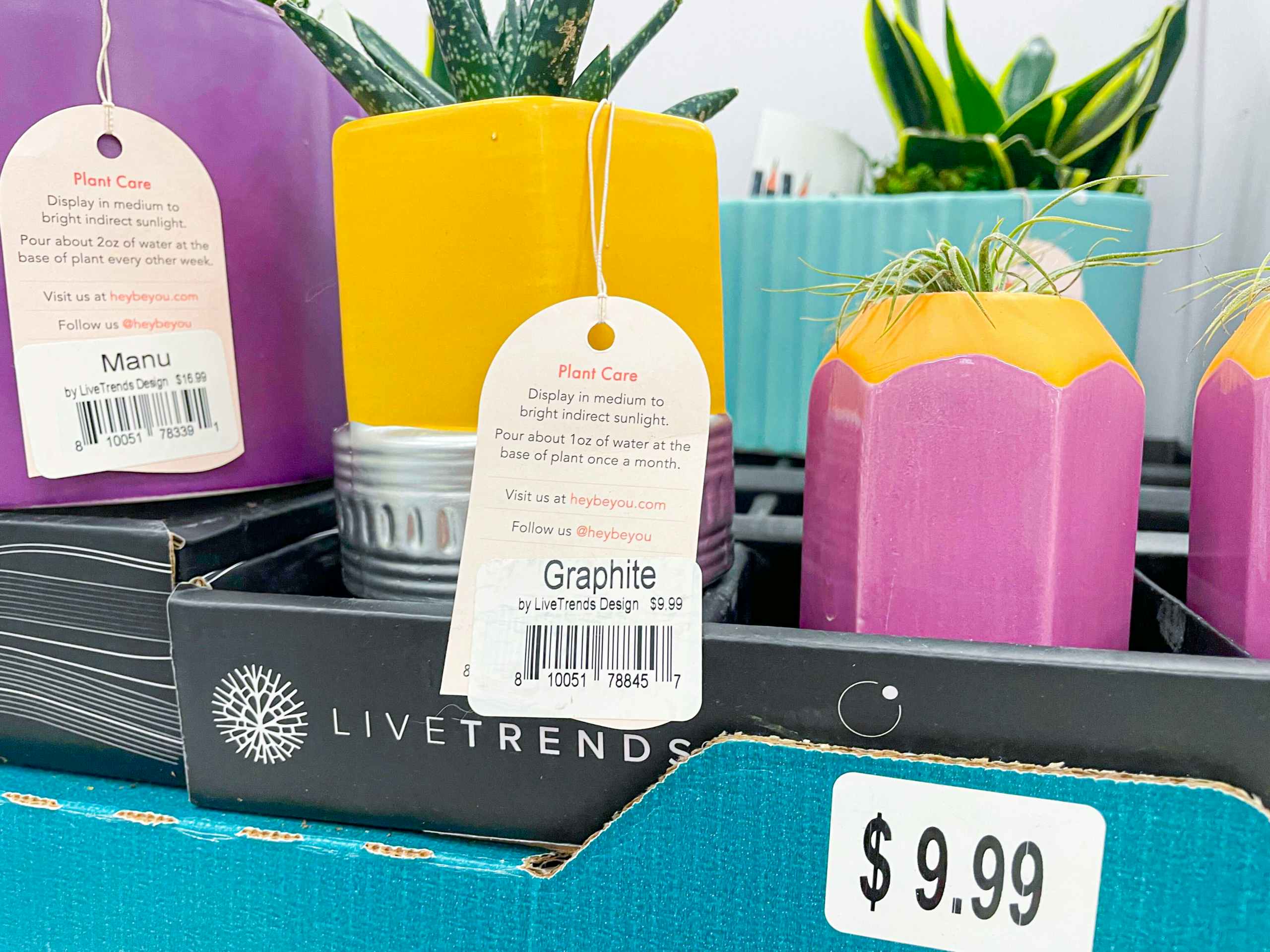 price tag on a pencil shaped planter on a shelf