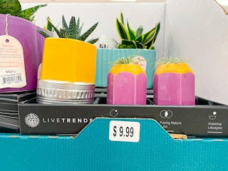 novelty planters on shelf