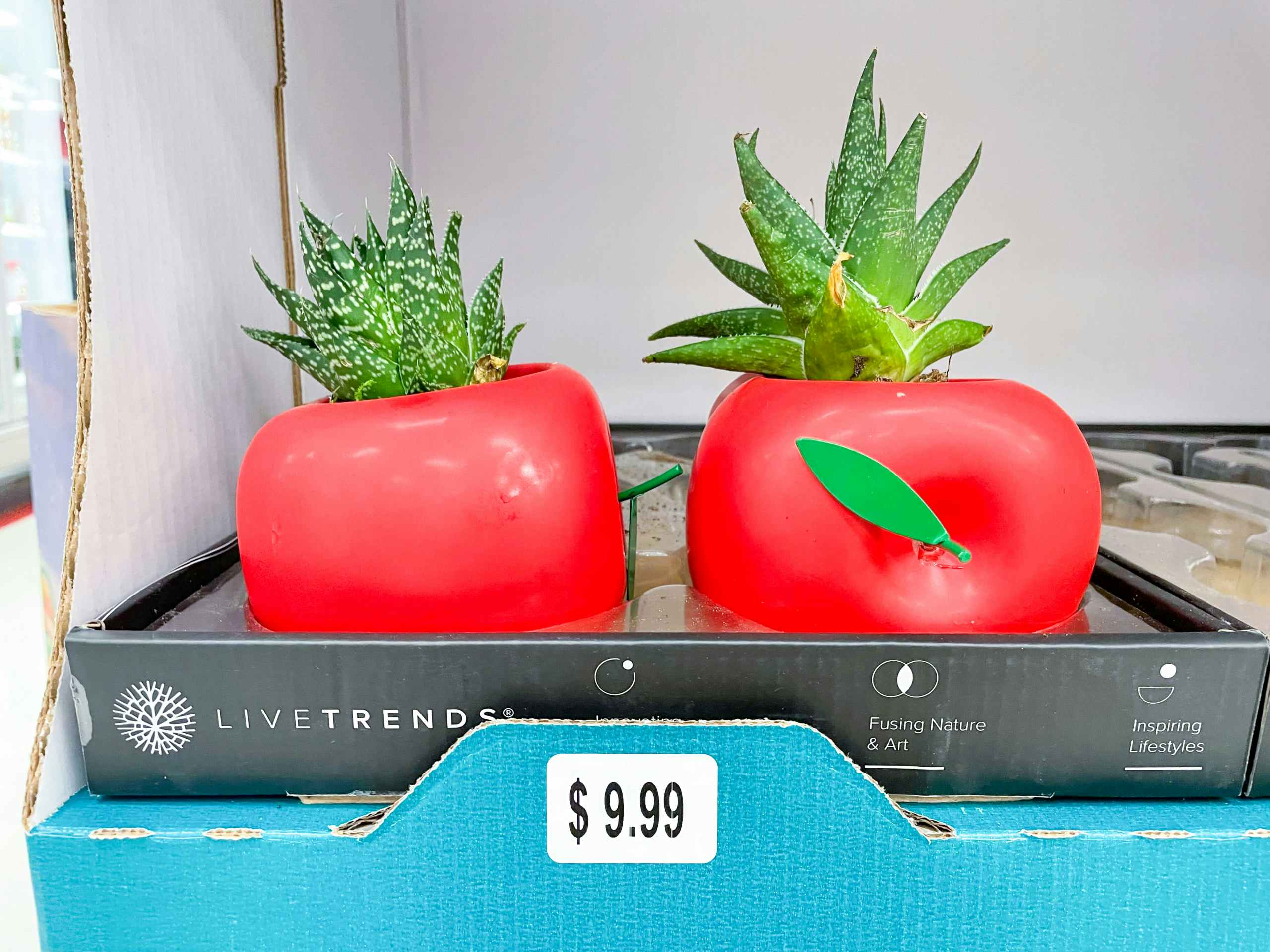 apple shaped planters on shelf