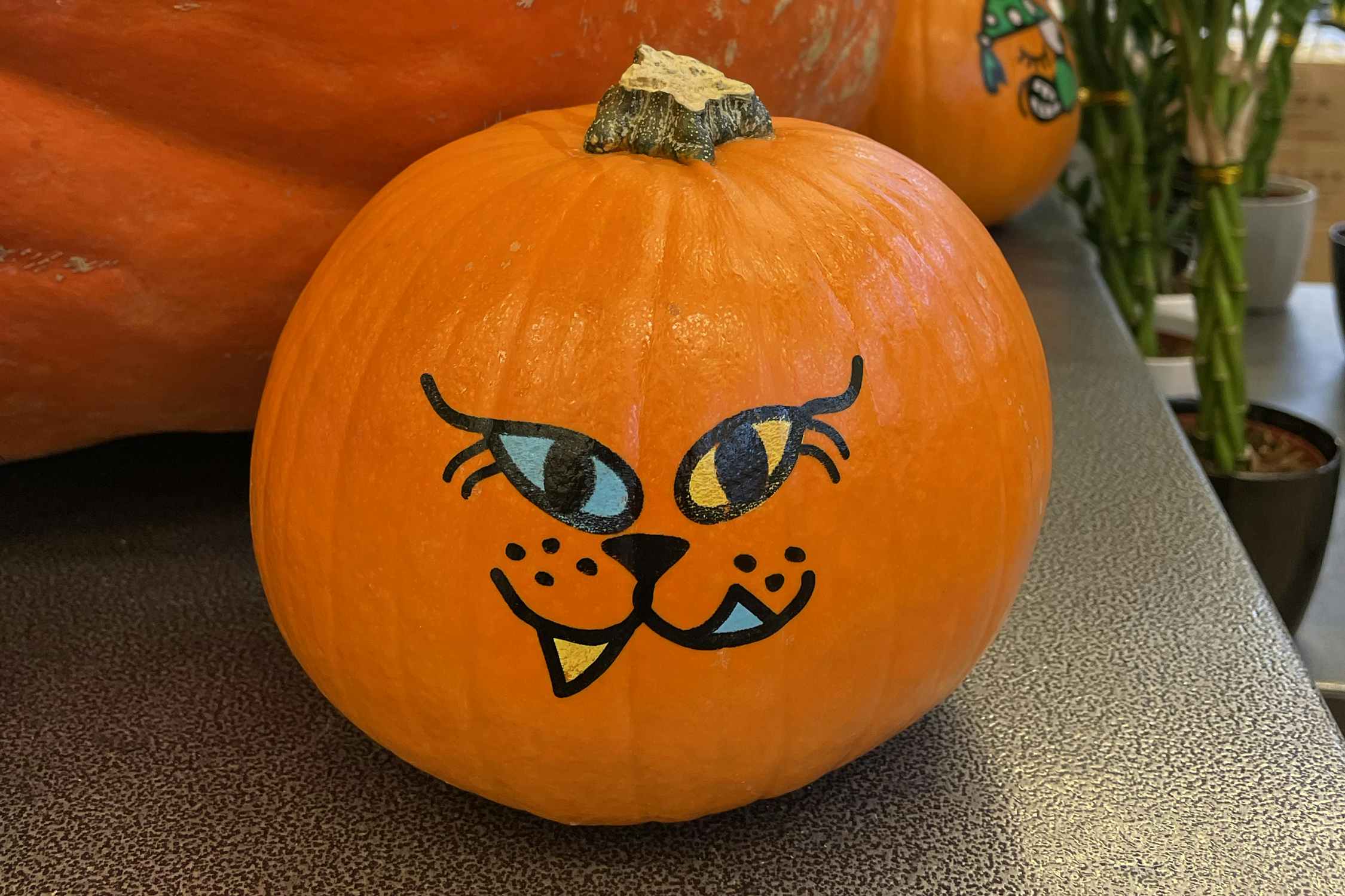 no-carve pumpkin with painted cat face