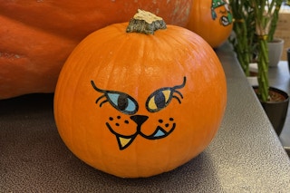 no-carve pumpkin with painted cat face