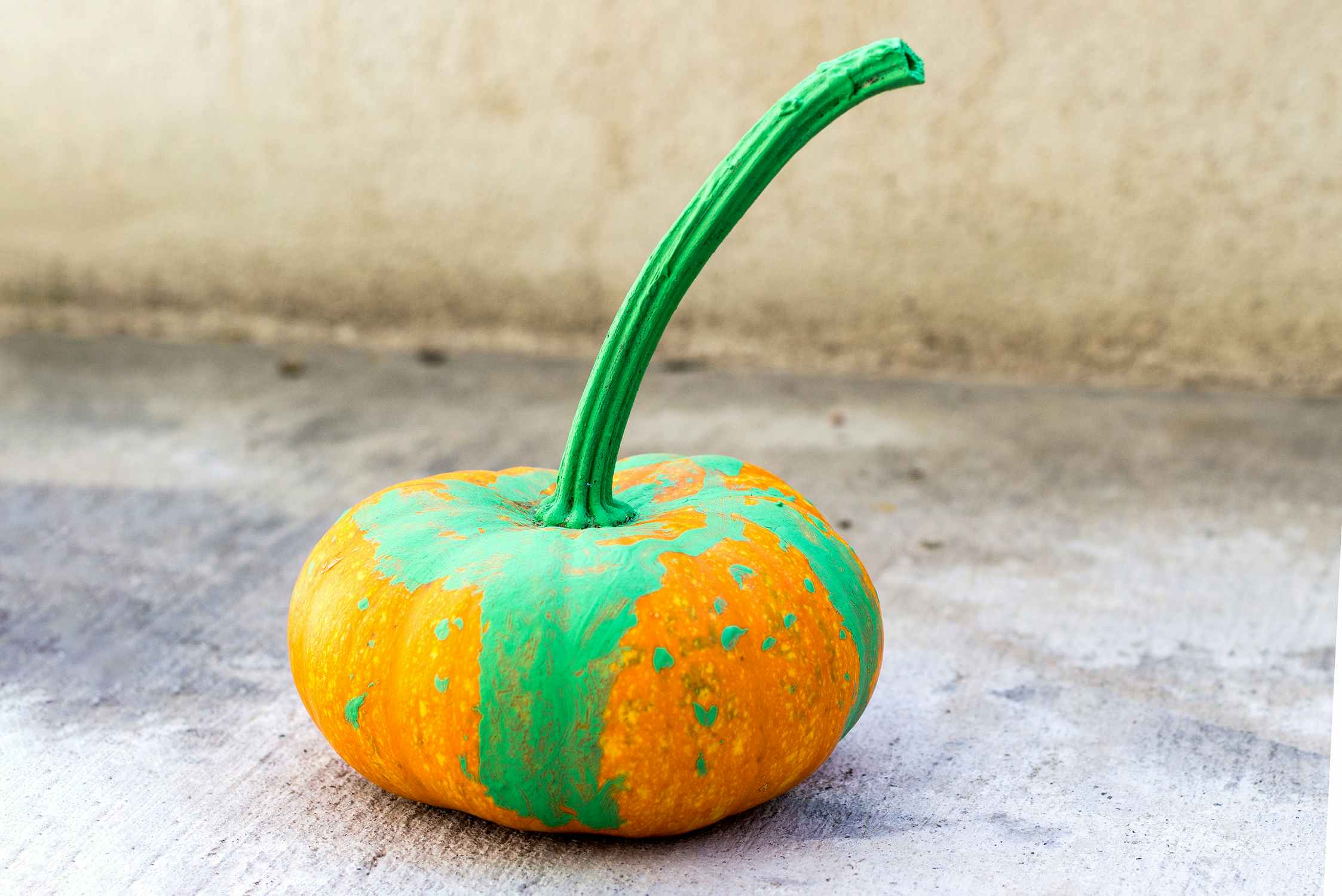 small no-carve pumpkin with green painted stem