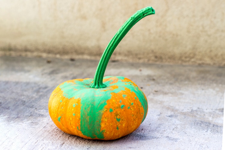 small no-carve pumpkin with green painted stem