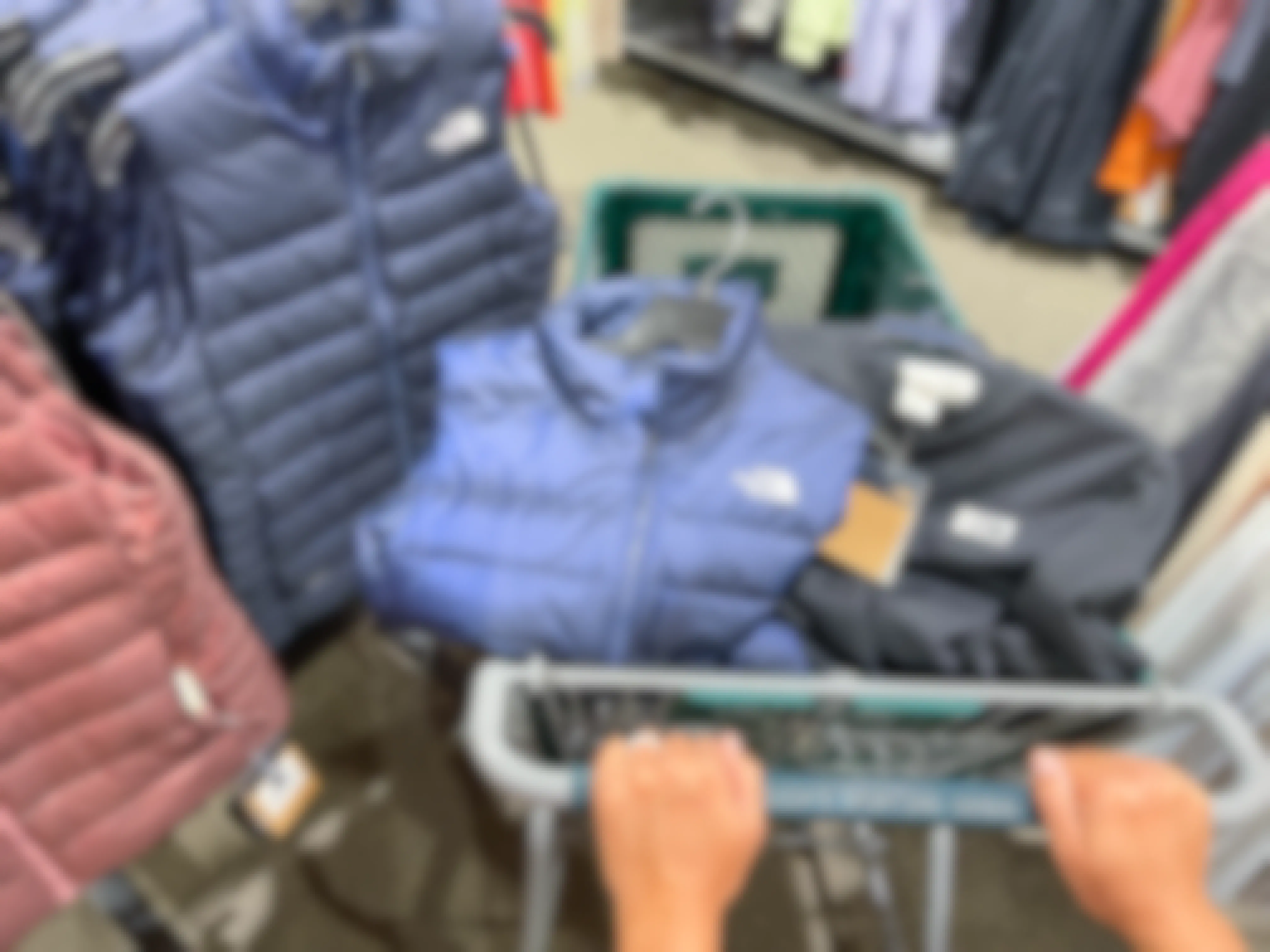 a dicks shopping cart with north face outerwear in basket