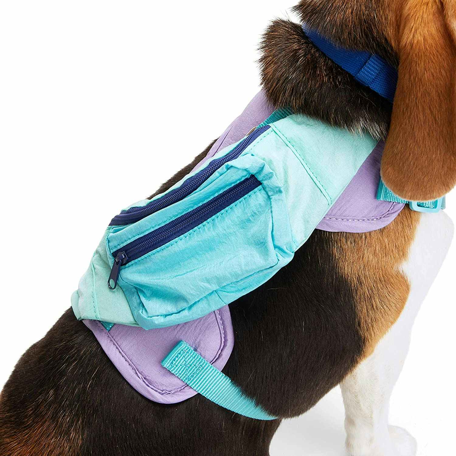 dog wearing a harness with a fanny pack on it