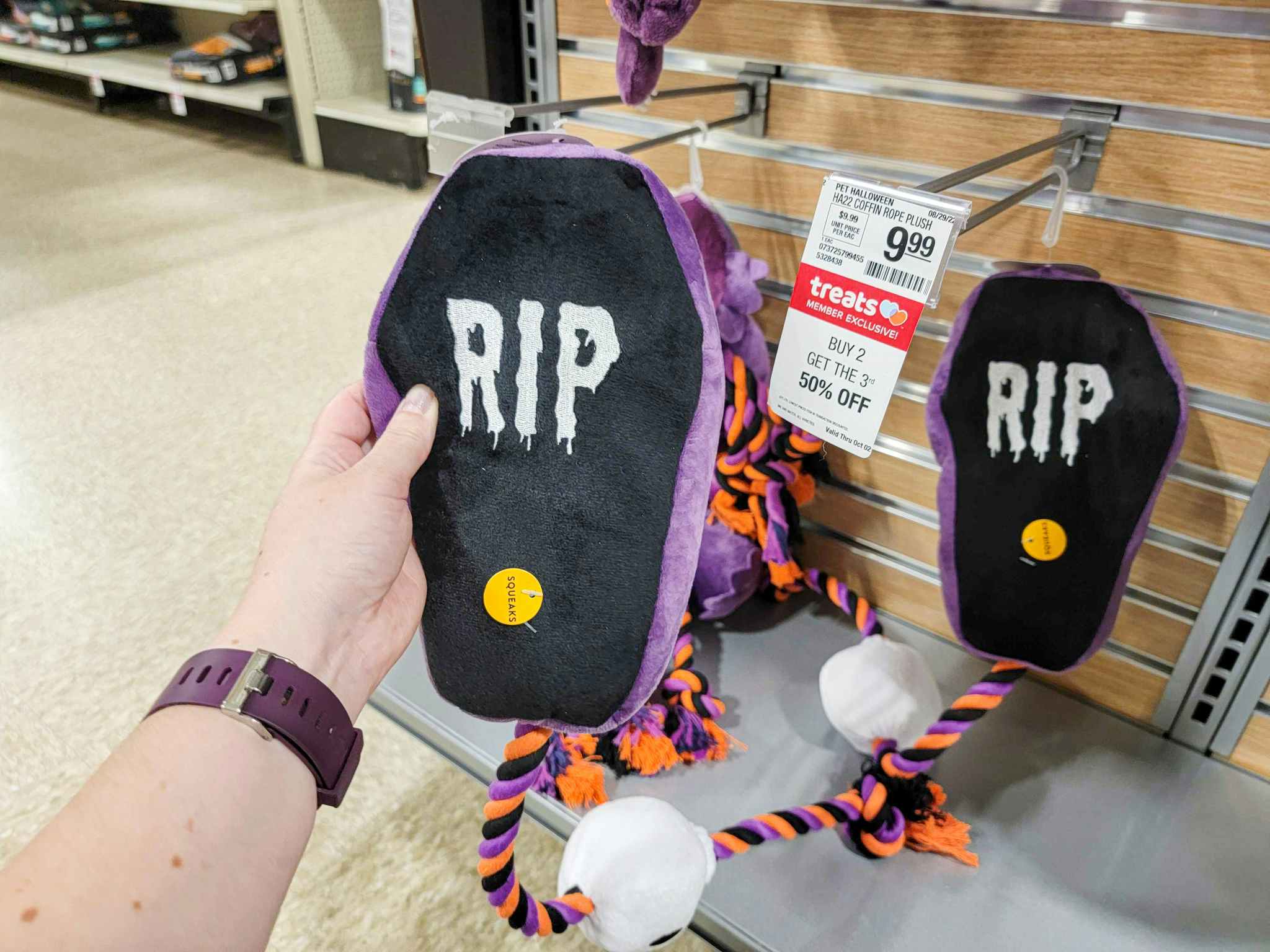 hand holding a coffin dog toy that says rip with a rope attached
