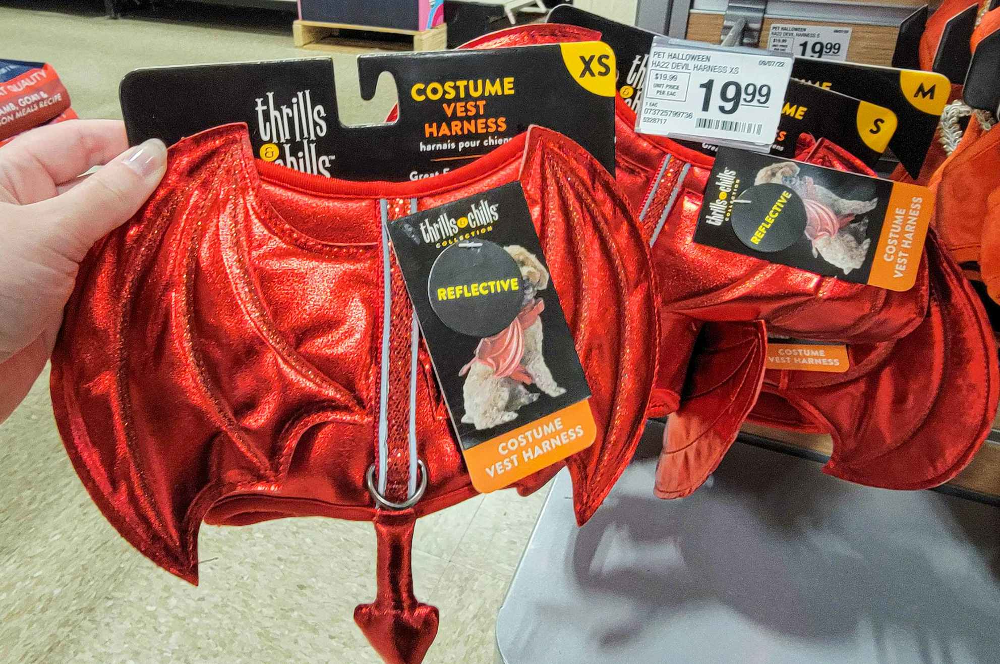 a dog devil harness halloween costume