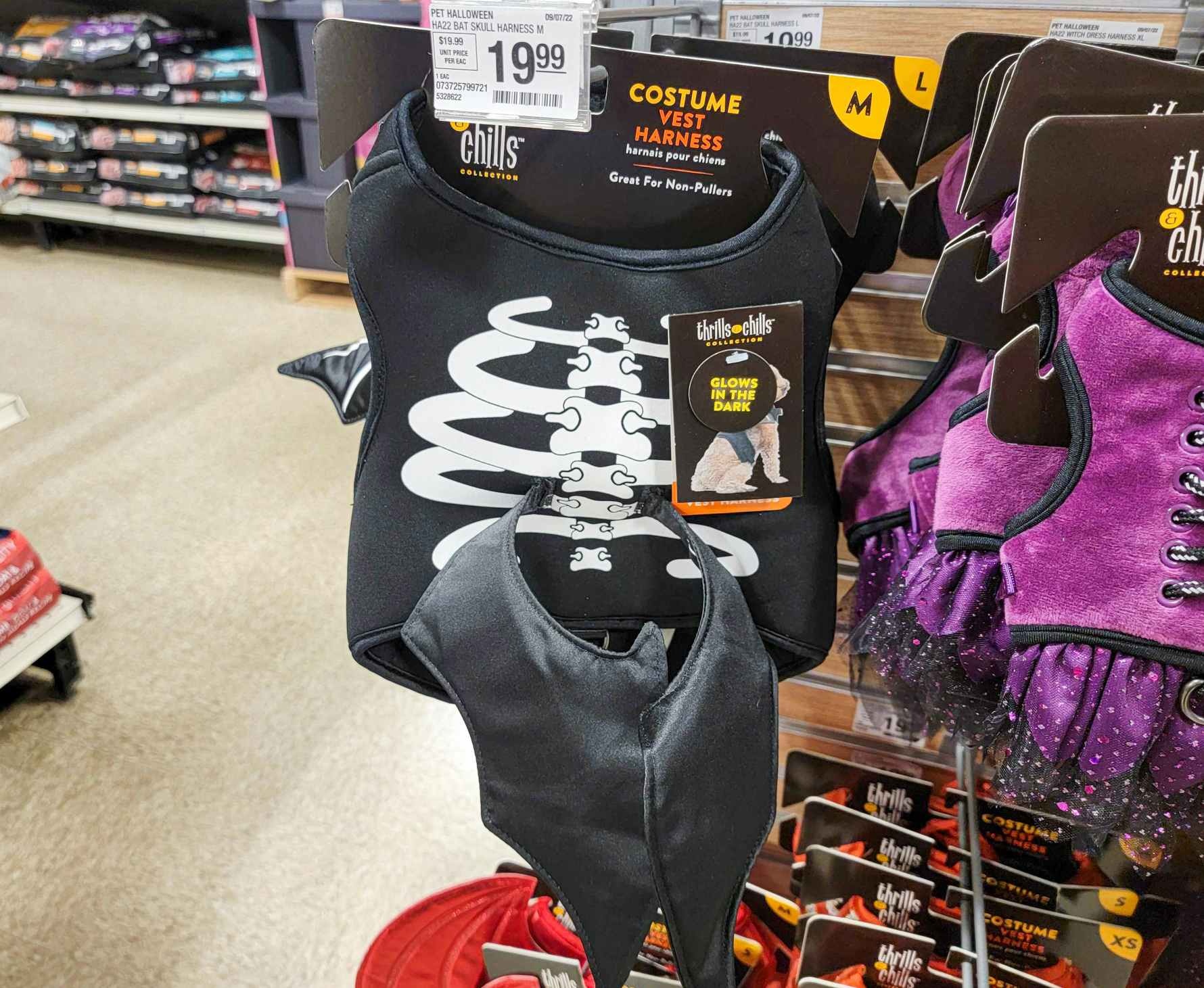 a pet skeleton vest halloween harness costume