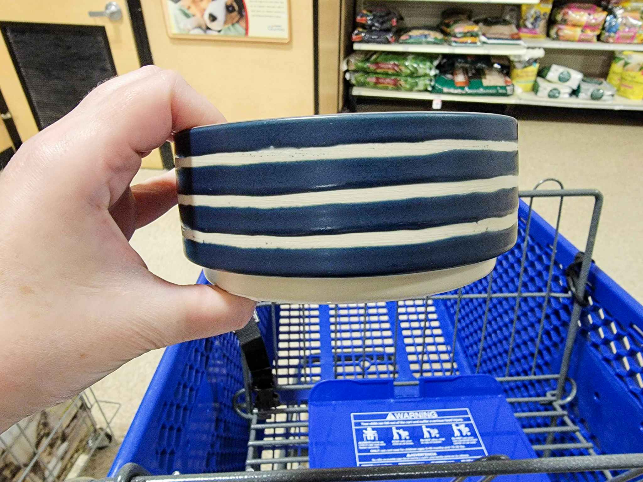 hand holding a blue and white striped dog bowl