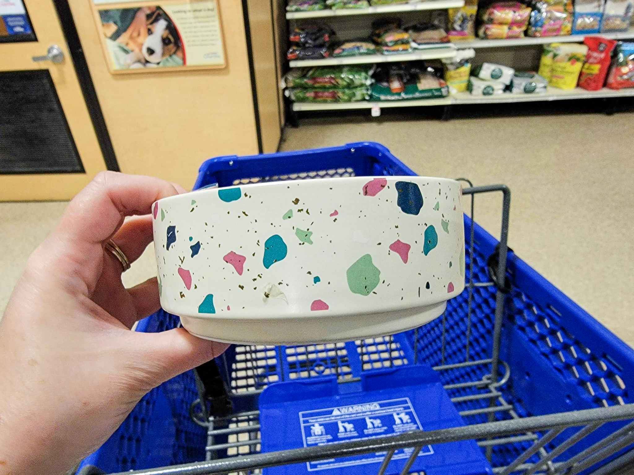 hand holding a white dog bowl with paint speckles