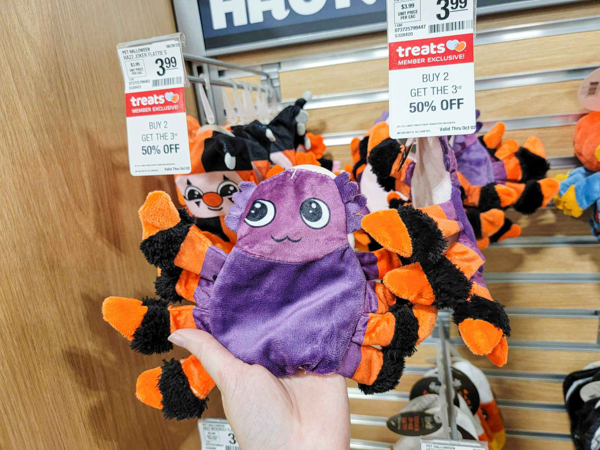 hand holding a crinkly halloween spider dog toy
