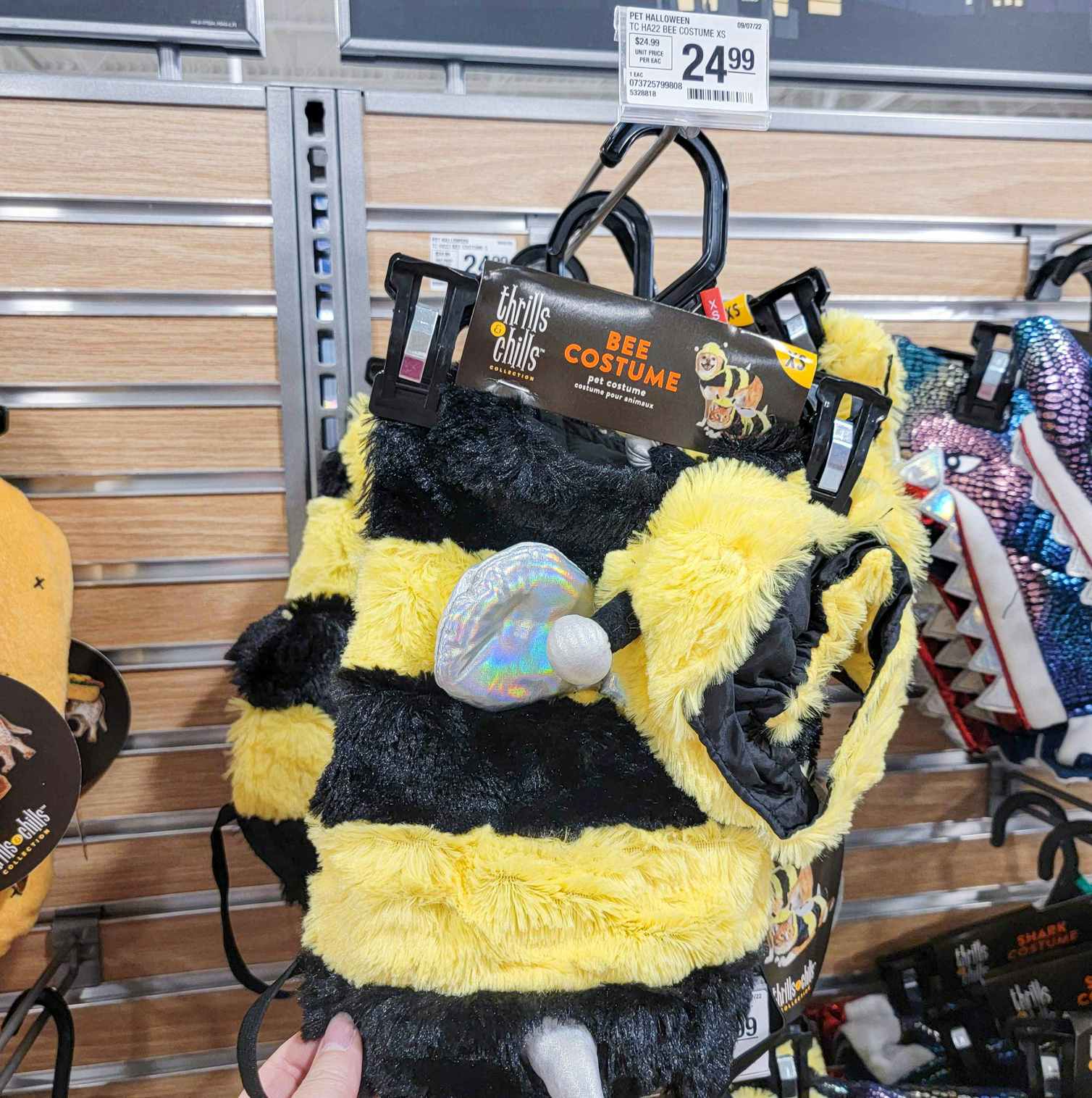 a bee costume for pets