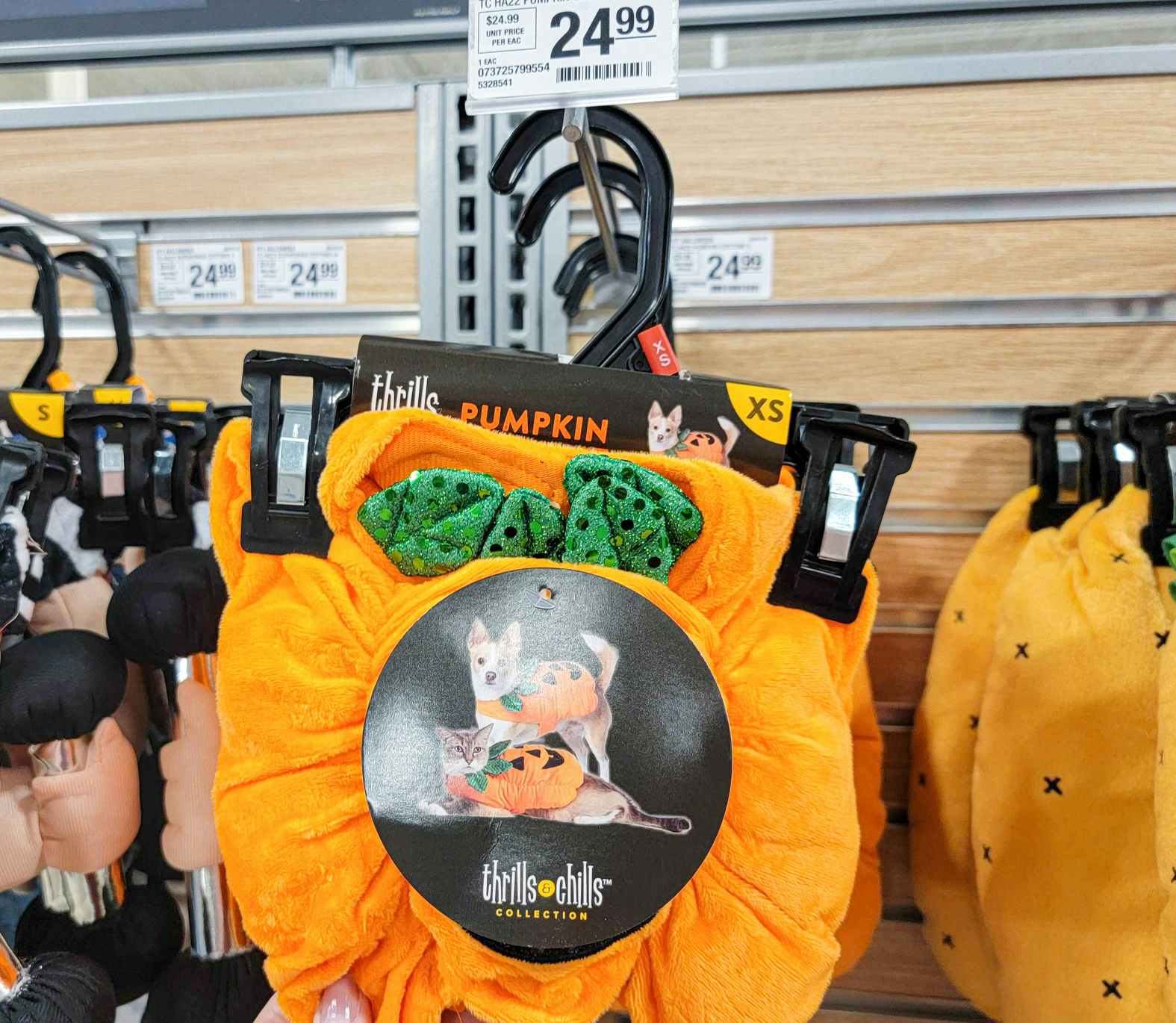 a pumpkin costume for pets
