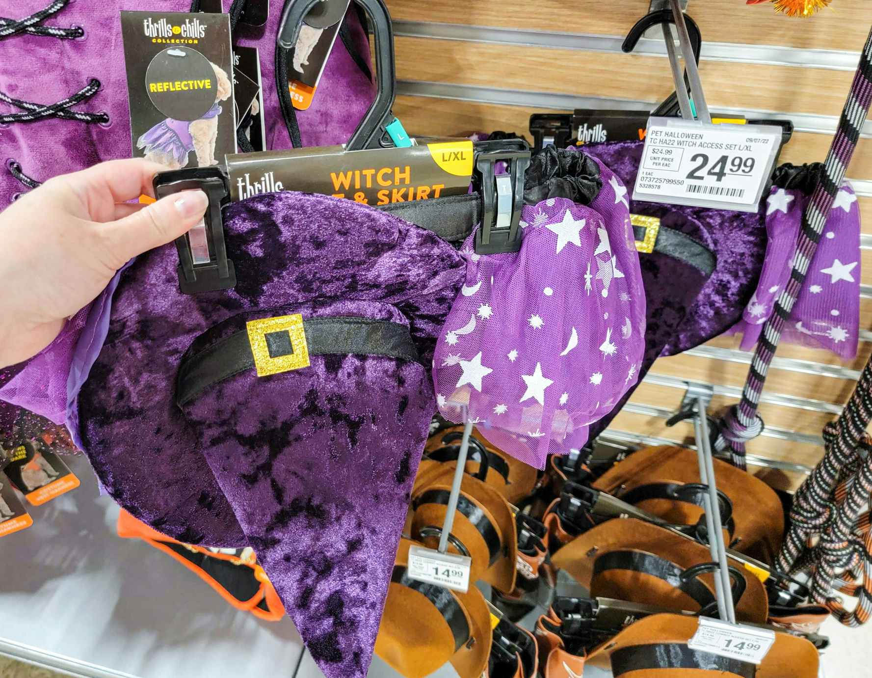 a witch halloween costume for pets with a purple hat and skirt