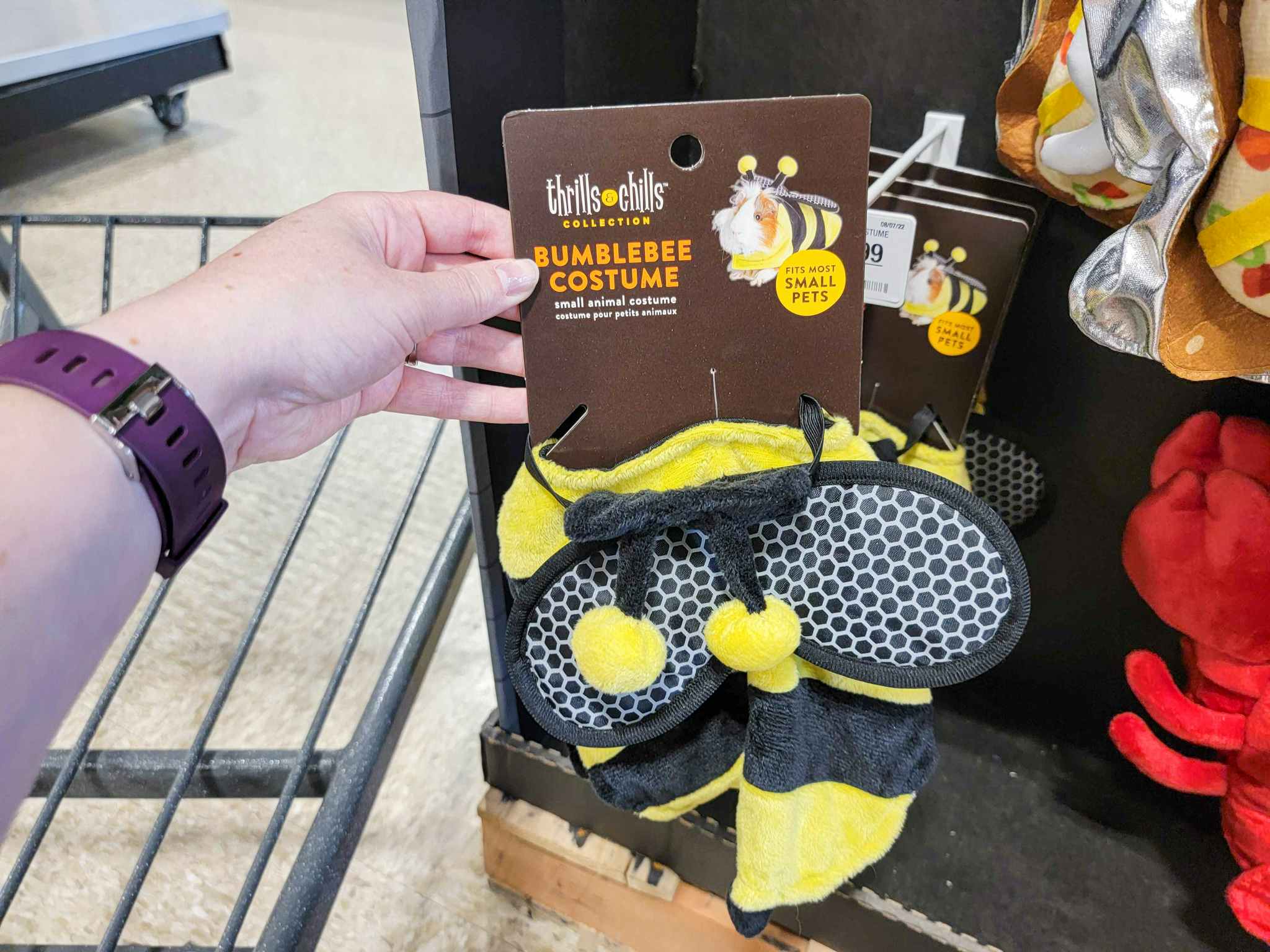 hand holding a bumblebee costume for small pets